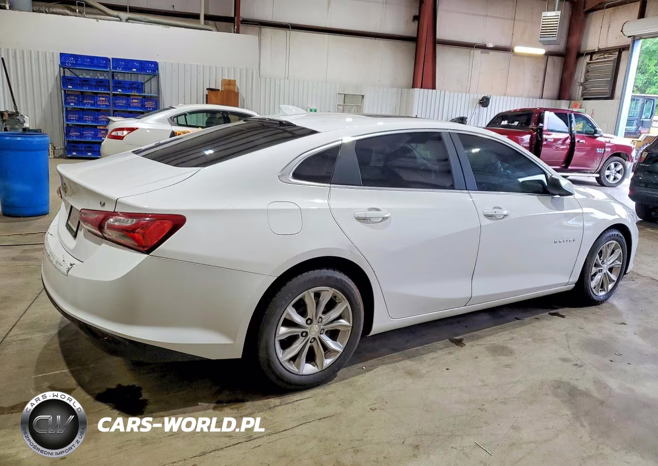 2019 Chevrolet Malibu Lt VIN:1G1ZD5ST5KF223837 - 3