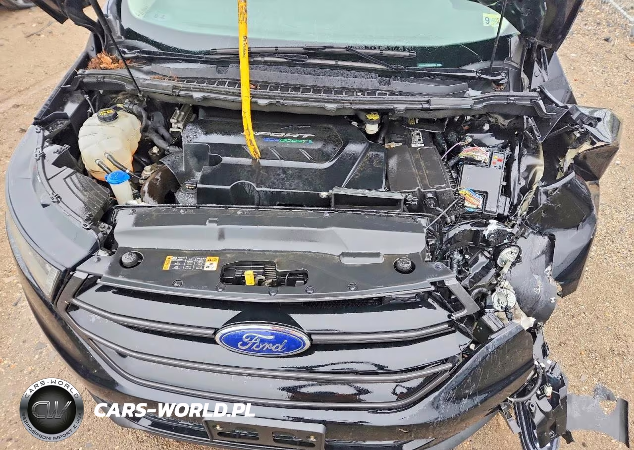 2016 Ford Edge Sport VIN:2FMPK4AP3GBC08700 - 12