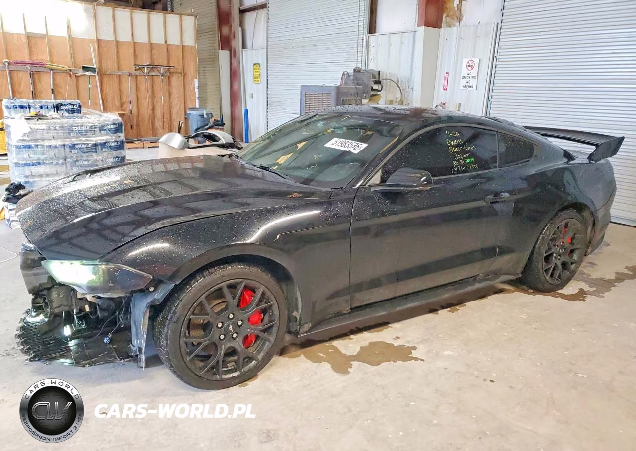 2019 Ford Mustang