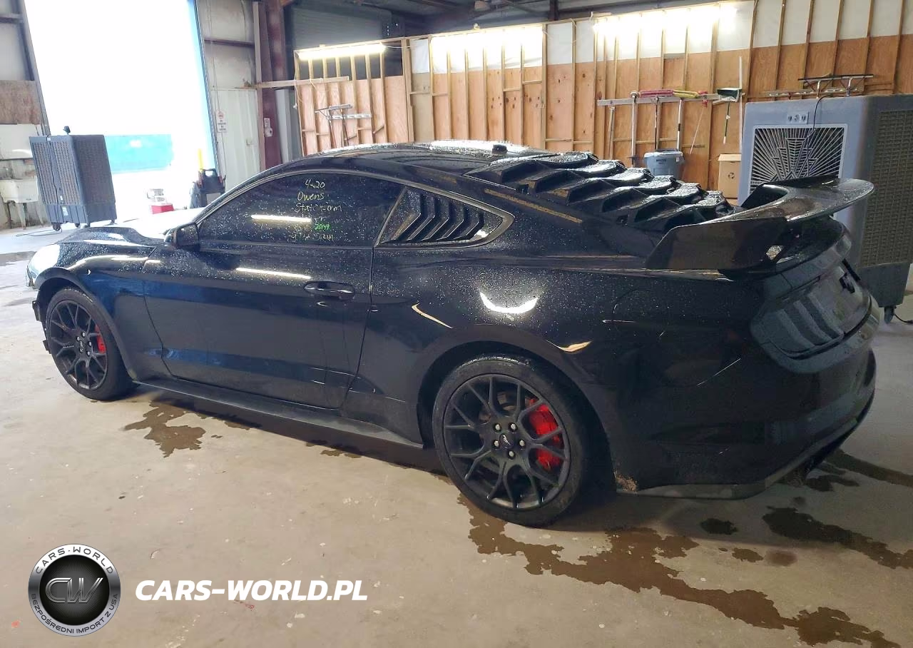 2019 Ford Mustang VIN:1FA6P8TH7K5182698 - 2