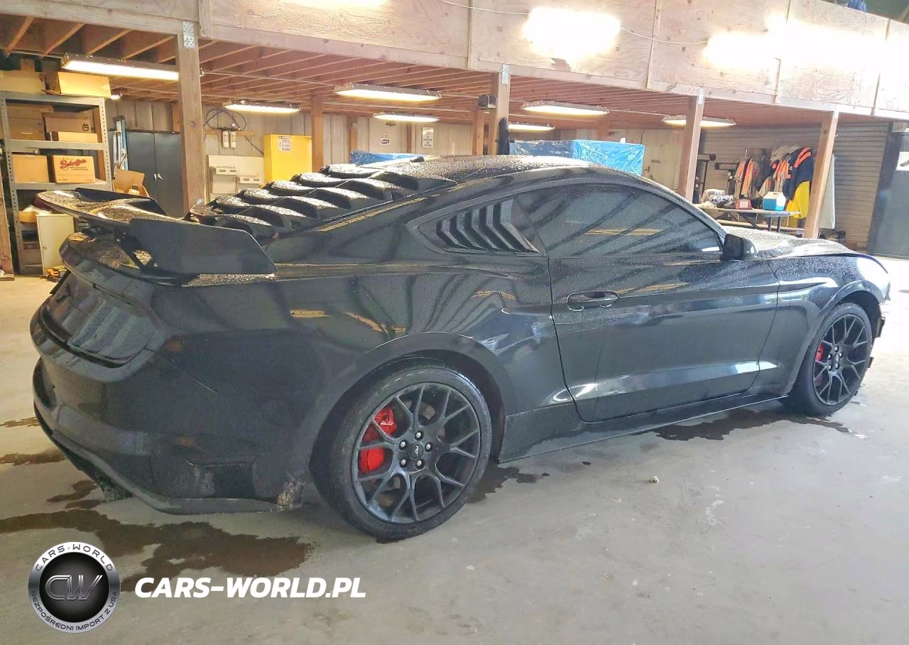 2019 Ford Mustang VIN:1FA6P8TH7K5182698 - 3