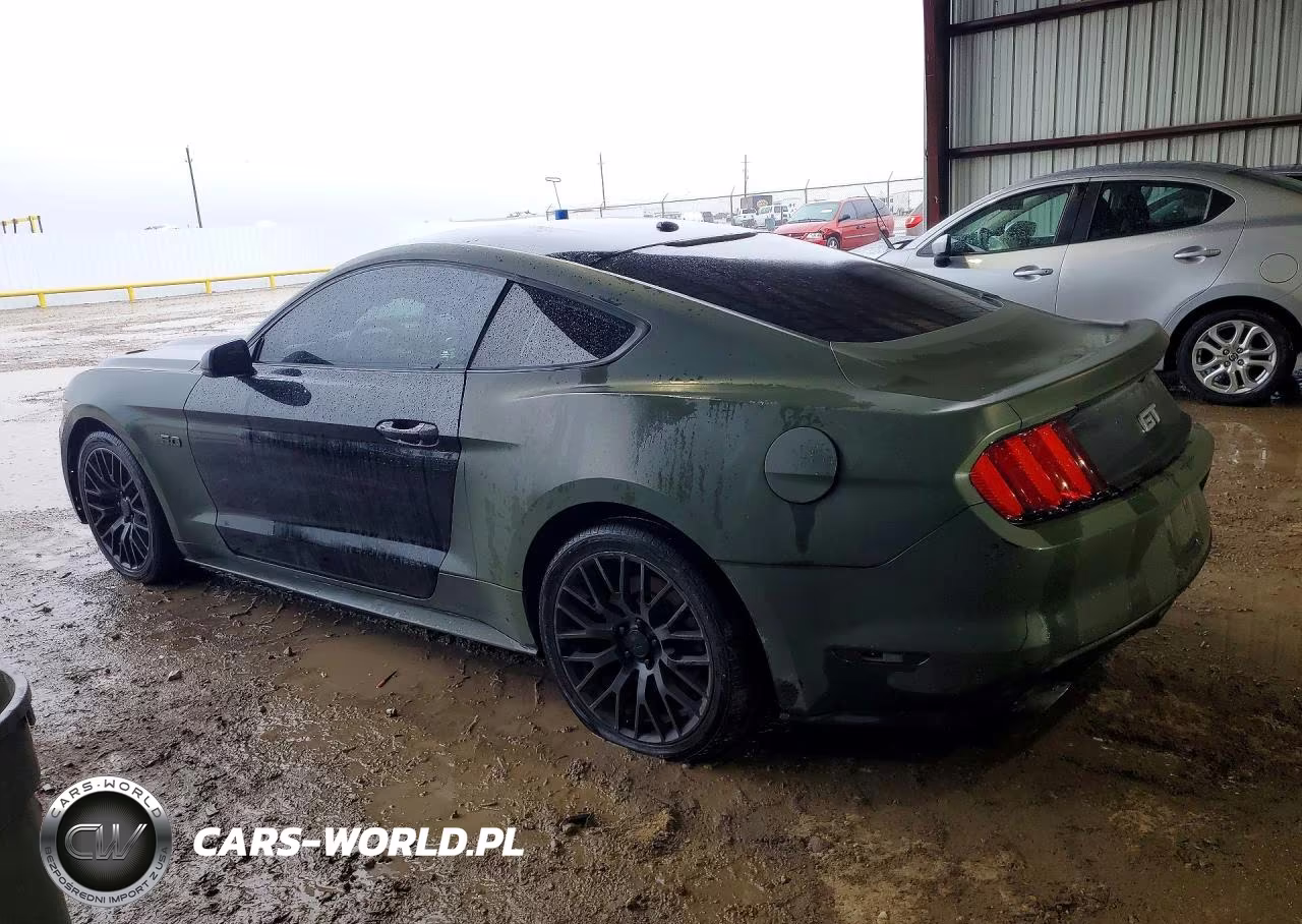 2015 Ford Mustang Gt VIN:1FA6P8CF6F5362310 - 2