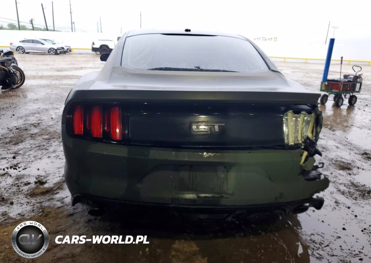 2015 Ford Mustang Gt VIN:1FA6P8CF6F5362310 - 6