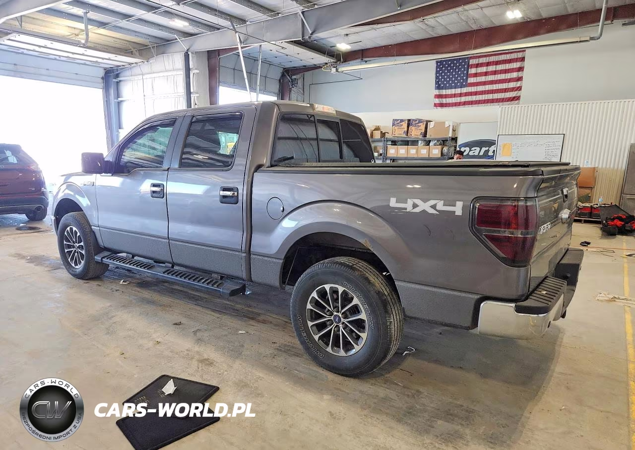 2013 Ford F150 Supercrew VIN:1FTFW1EF0DKG47066 - 2