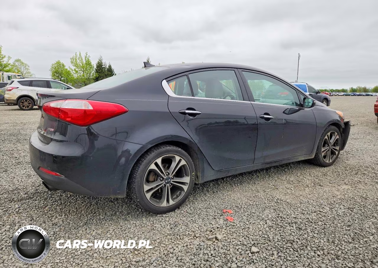 2016 Kia Forte Ex VIN:KNAFZ4A80G5451323 - 3