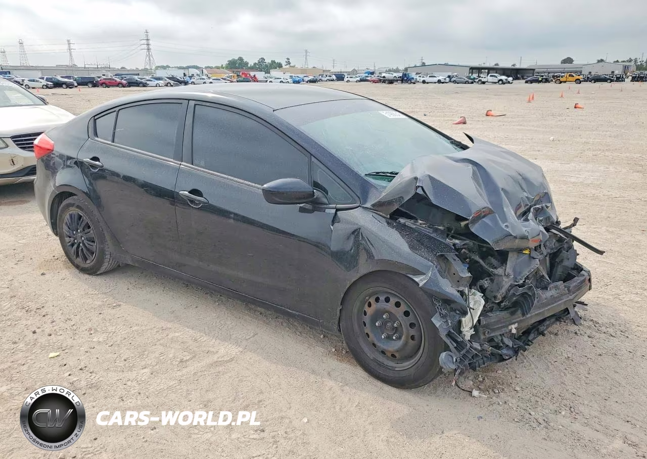 2016 Kia Forte Lx VIN:KNAFK4A67G5542480 - 4