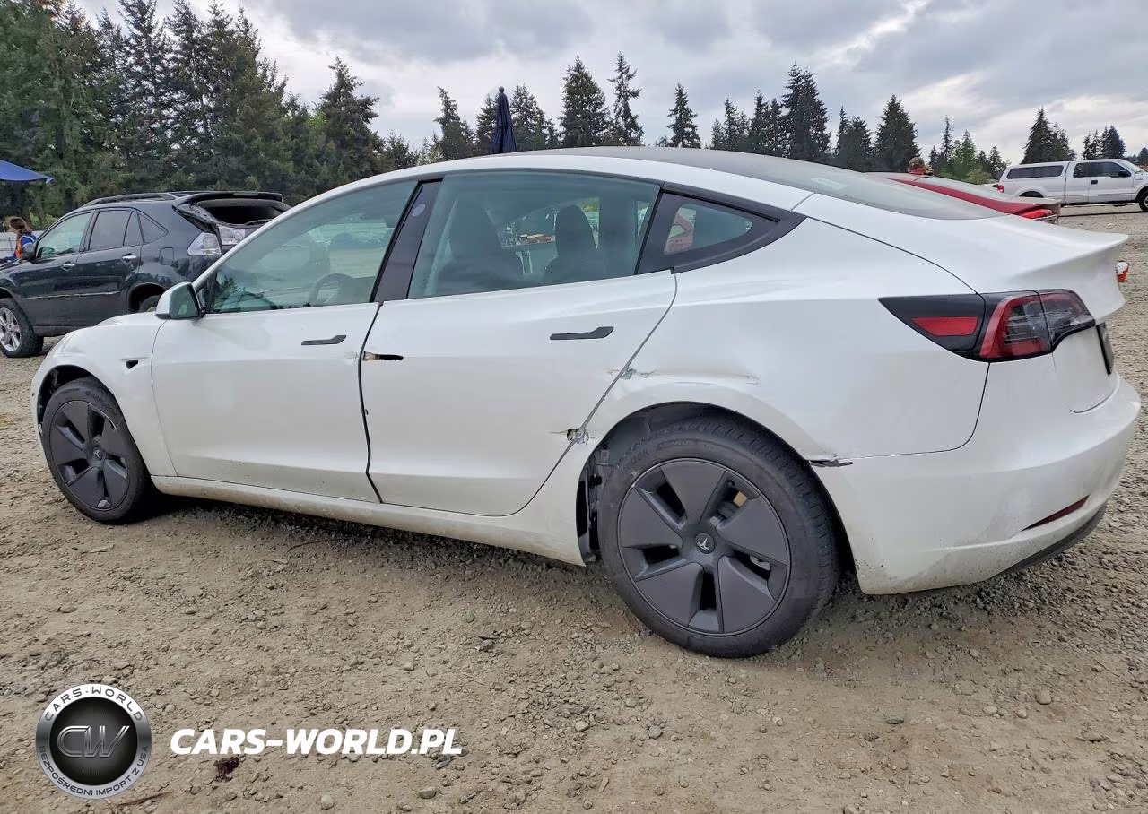 2023 Tesla Model 3 VIN:5YJ3E1EA4PF682124 - 2