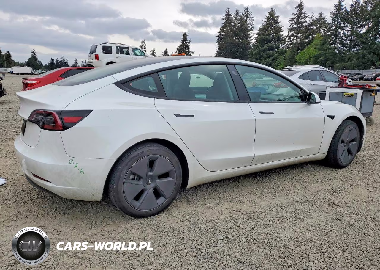 2023 Tesla Model 3 VIN:5YJ3E1EA4PF682124 - 3