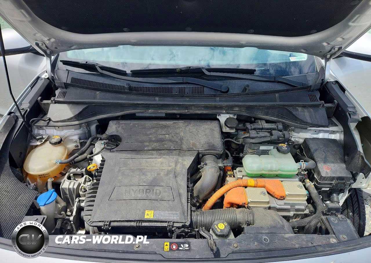 2019 Kia Niro Lx VIN:KNDCB3LC6K5249648 - 12