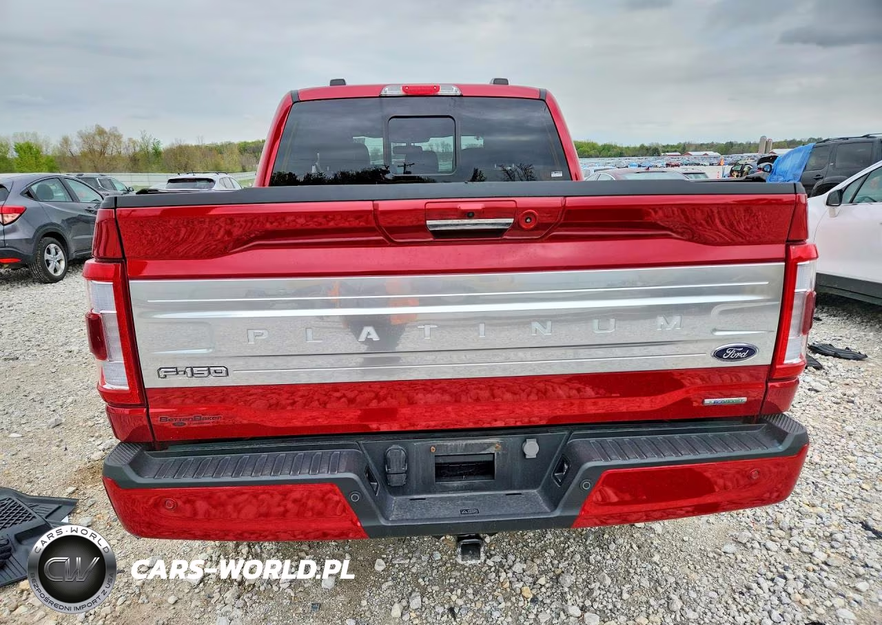 2023 Ford F150 Supercrew VIN:1FTFW1E89PFB62861 - 6