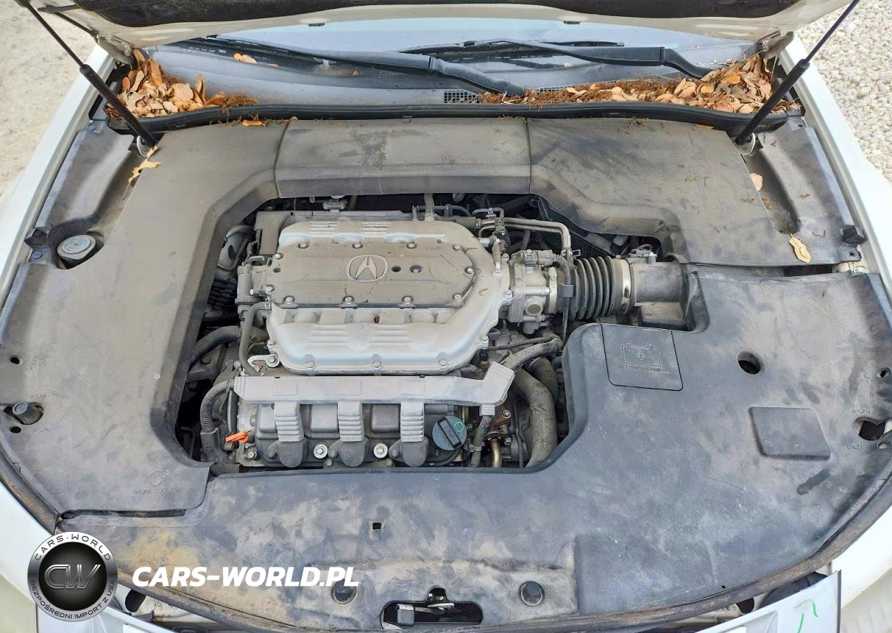 2009 Acura Tl VIN:19UUA86229A019308 - 11
