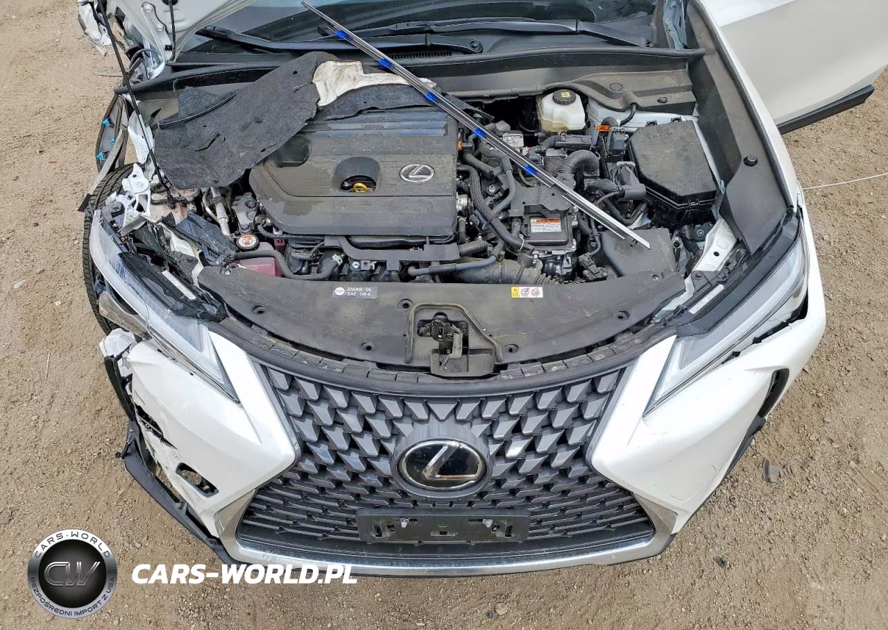 2025 Lexus Ux 300H Premium VIN:JTHYBJAH0S2018916 - 11