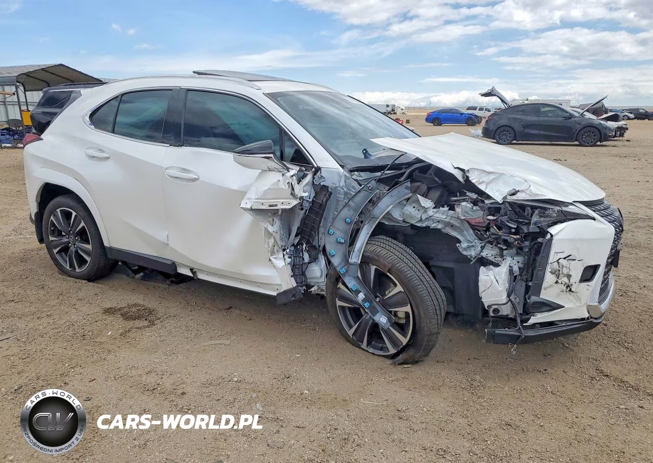 2025 Lexus Ux 300H Premium VIN:JTHYBJAH0S2018916 - 4