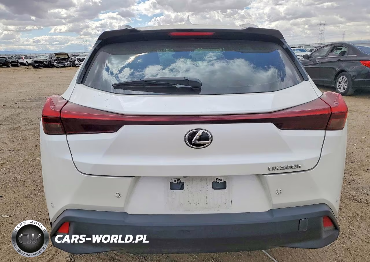 2025 Lexus Ux 300H Premium VIN:JTHYBJAH0S2018916 - 6