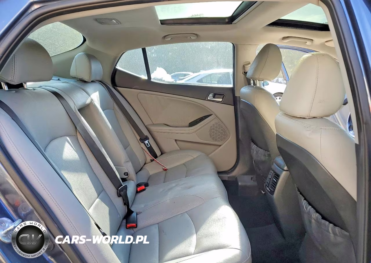 2015 Kia Optima Ex VIN:5XXGN4A70FG488487 - 10