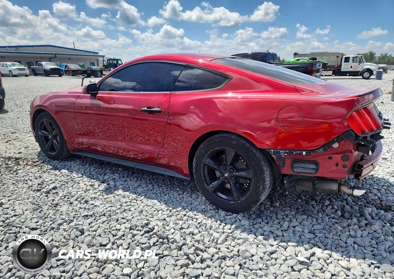 2017 Ford Mustang VIN:1FA6P8TH8H5358716 - 2
