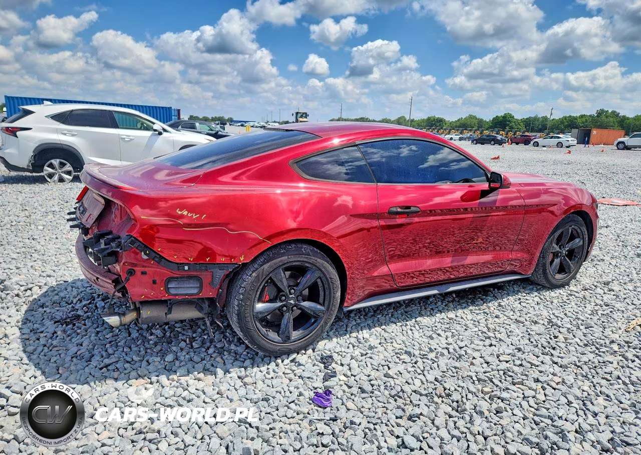 2017 Ford Mustang VIN:1FA6P8TH8H5358716 - 3