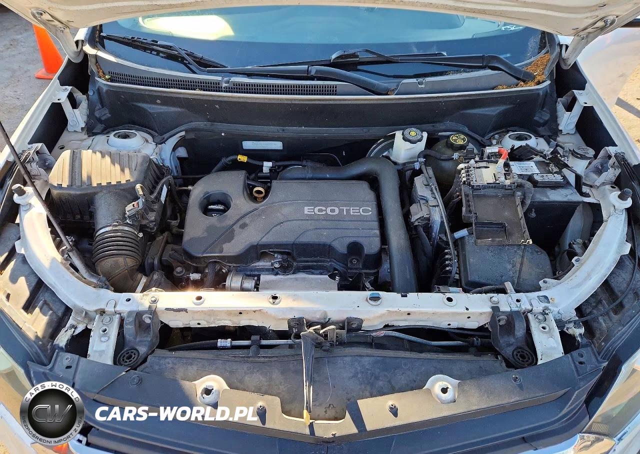 2019 Chevrolet Equinox Lt VIN:2GNAXKEV5K6282296 - 11