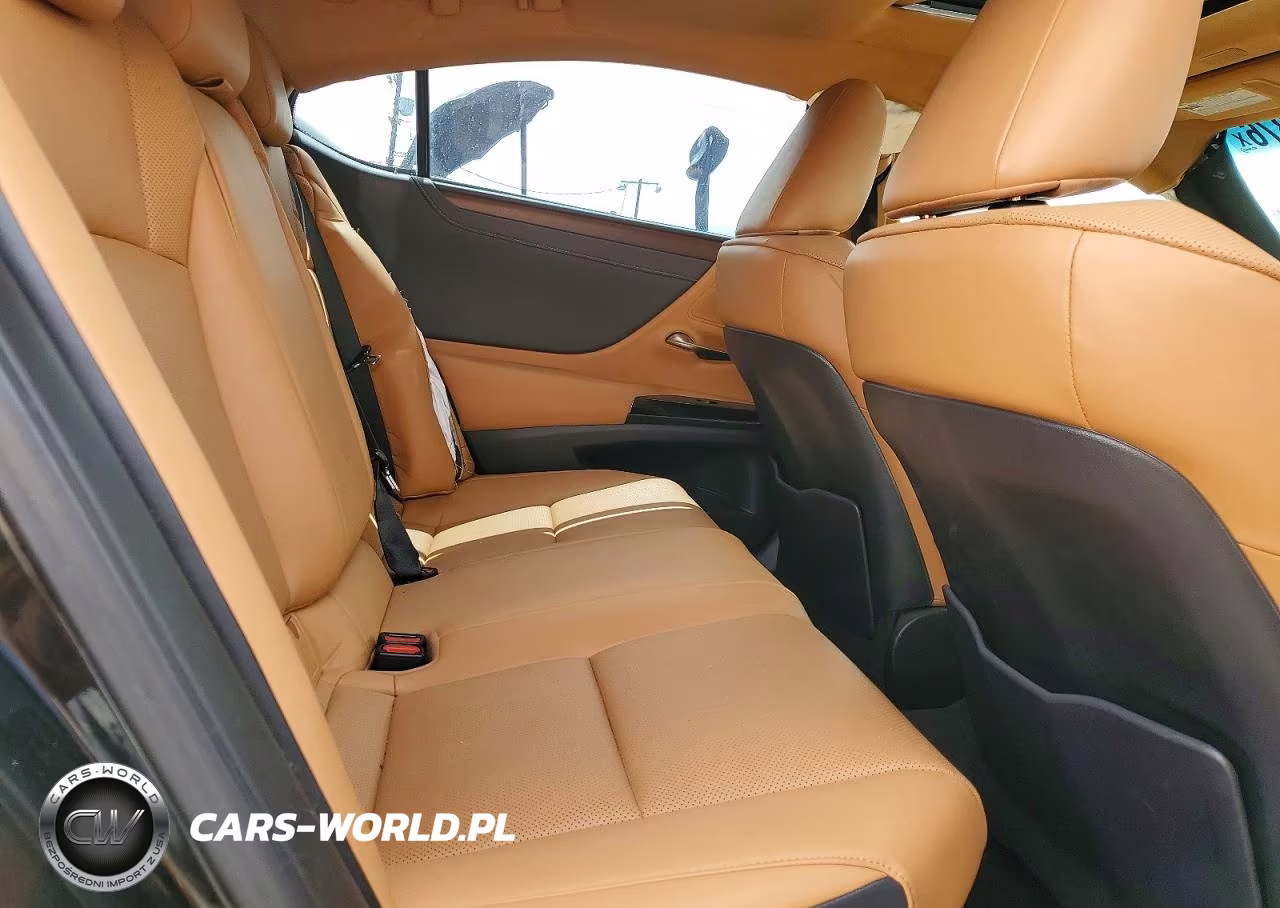 2023 Lexus Es 300H Base VIN:58ADA1C18PU035661 - 10