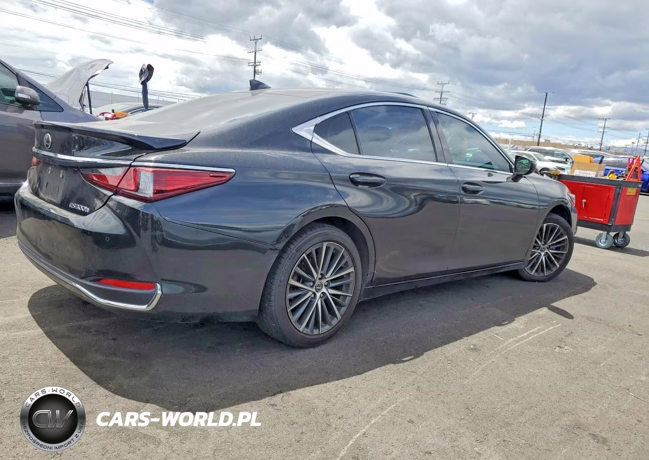 2023 Lexus Es 300H Base VIN:58ADA1C18PU035661 - 3