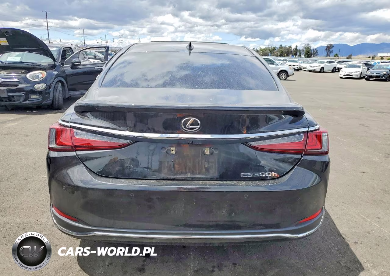 2023 Lexus Es 300H Base VIN:58ADA1C18PU035661 - 6
