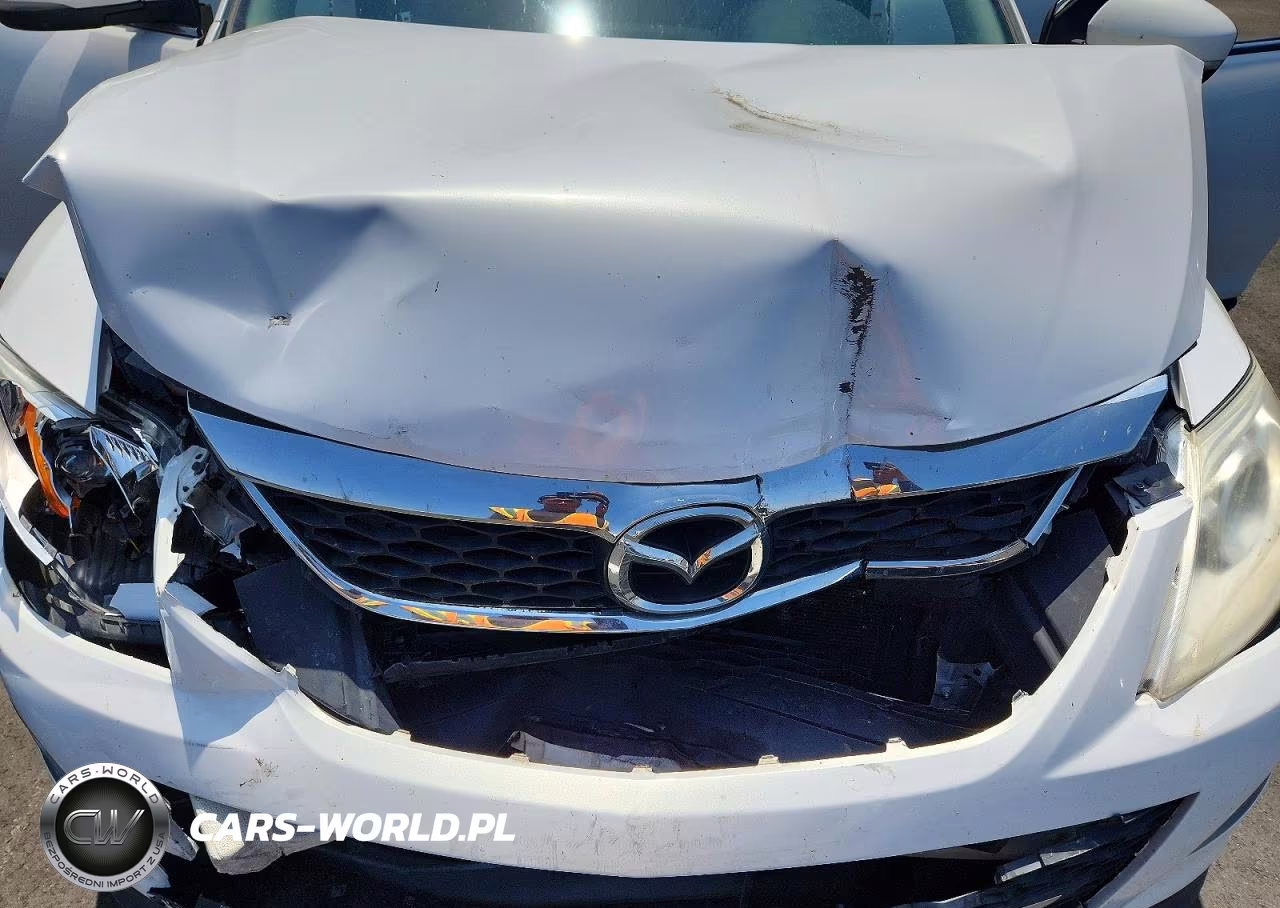 2010 Mazda Cx-9 VIN:JM3TB2MV0A0236083 - 12