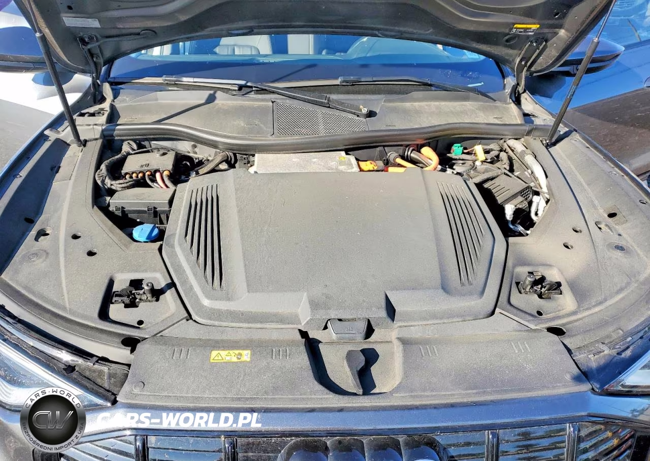 2021 Audi E-Tron Sportback Premium VIN:WA11AAGE0MB012341 - 12