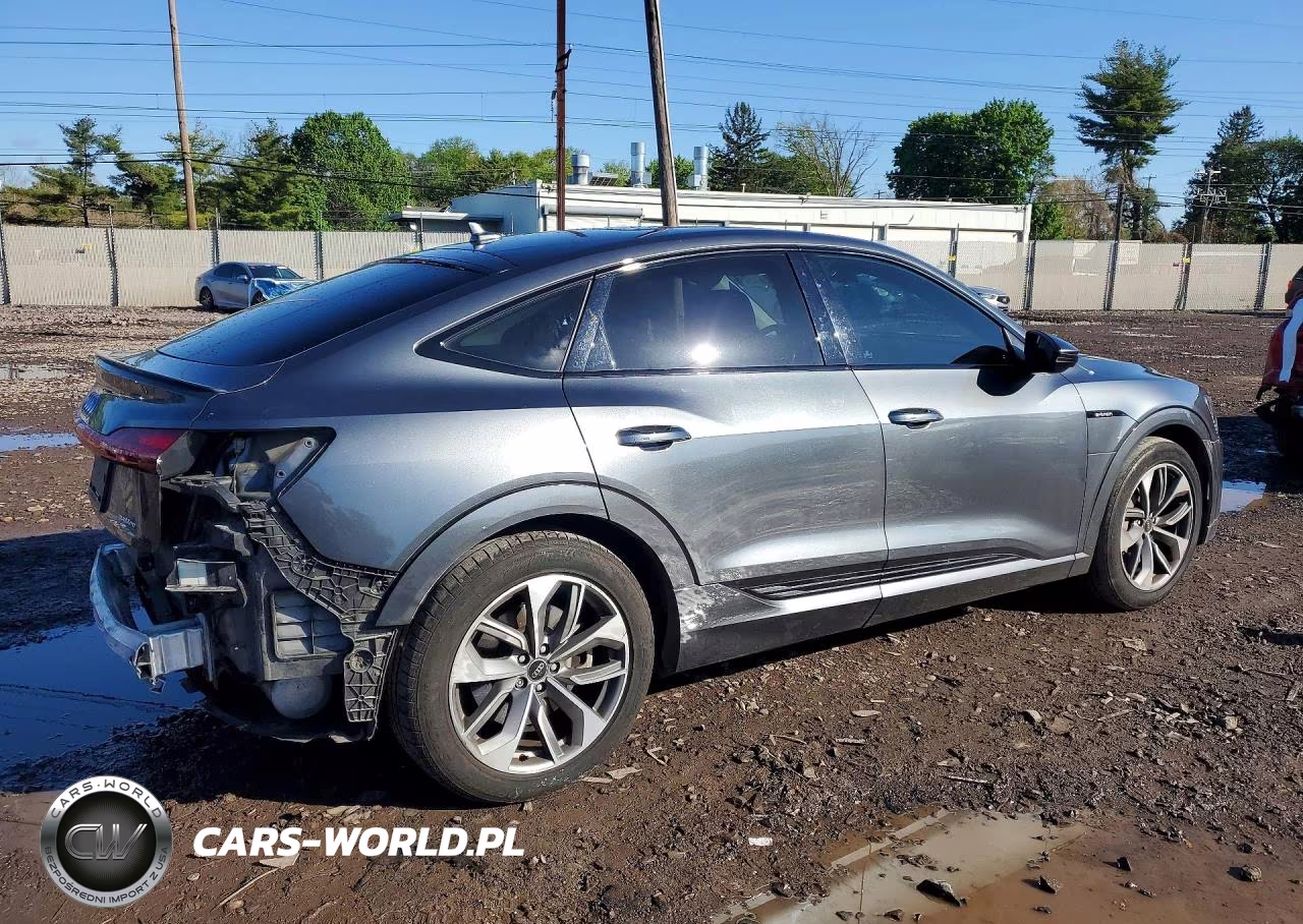 2021 Audi E-Tron Sportback Premium VIN:WA11AAGE0MB012341 - 3
