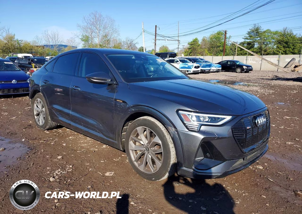 2021 Audi E-Tron Sportback Premium VIN:WA11AAGE0MB012341 - 4
