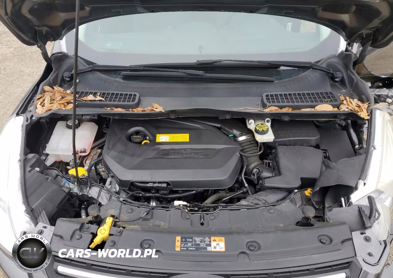 2015 Ford Escape Se VIN:1FMCU0GX7FUB12411 - 12