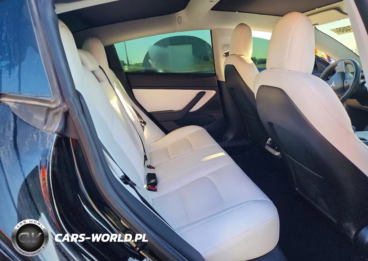 2019 Tesla Model 3 VIN:5YJ3E1EB3KF213950 - 10