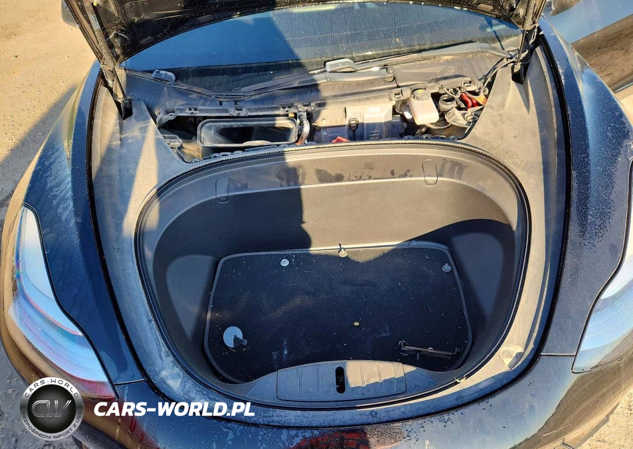 2019 Tesla Model 3 VIN:5YJ3E1EB3KF213950 - 11