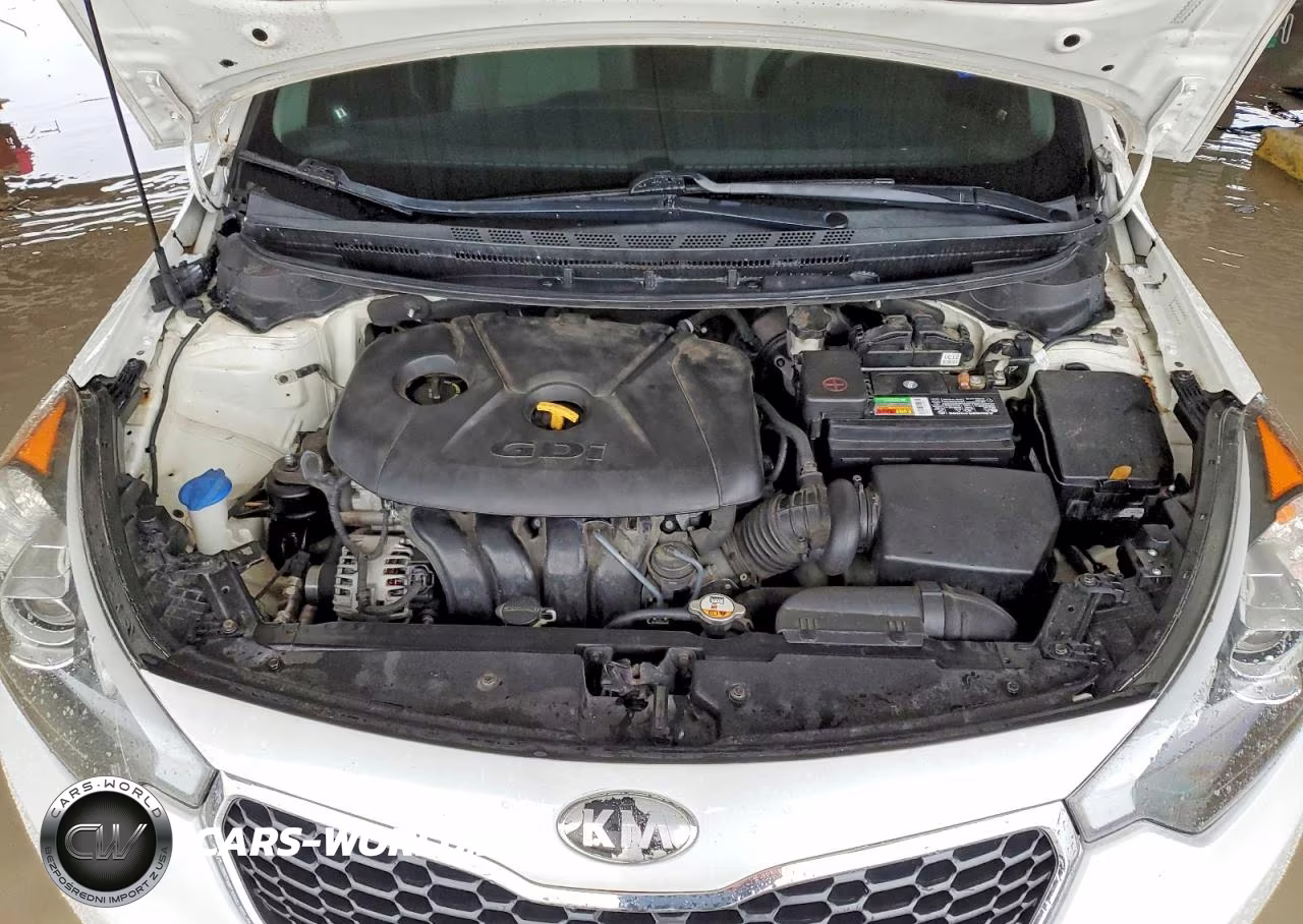 2016 Kia Forte Lx VIN:KNAFX4A66G5522500 - 11