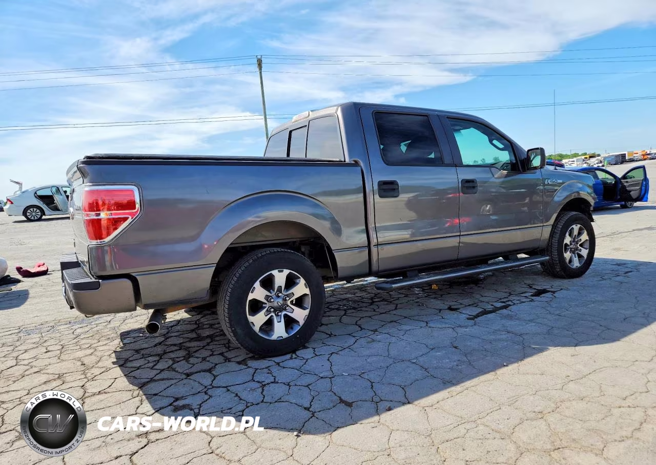 2011 Ford F150 Supercrew VIN:1FTEW1CM0BFB43314 - 3