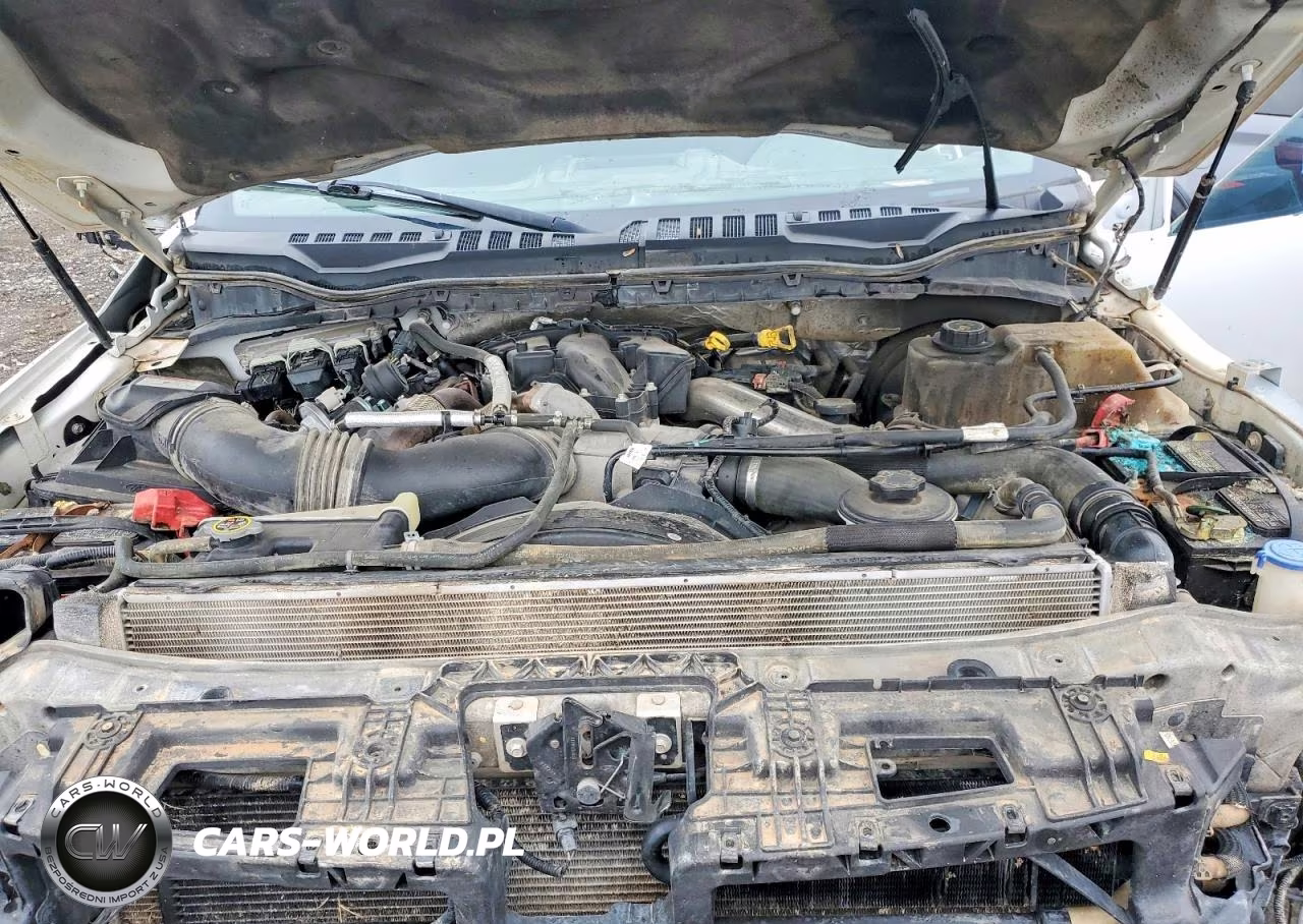 2019 Ford F250 Super Duty VIN:1FT7W2BT0KEC10636 - 11