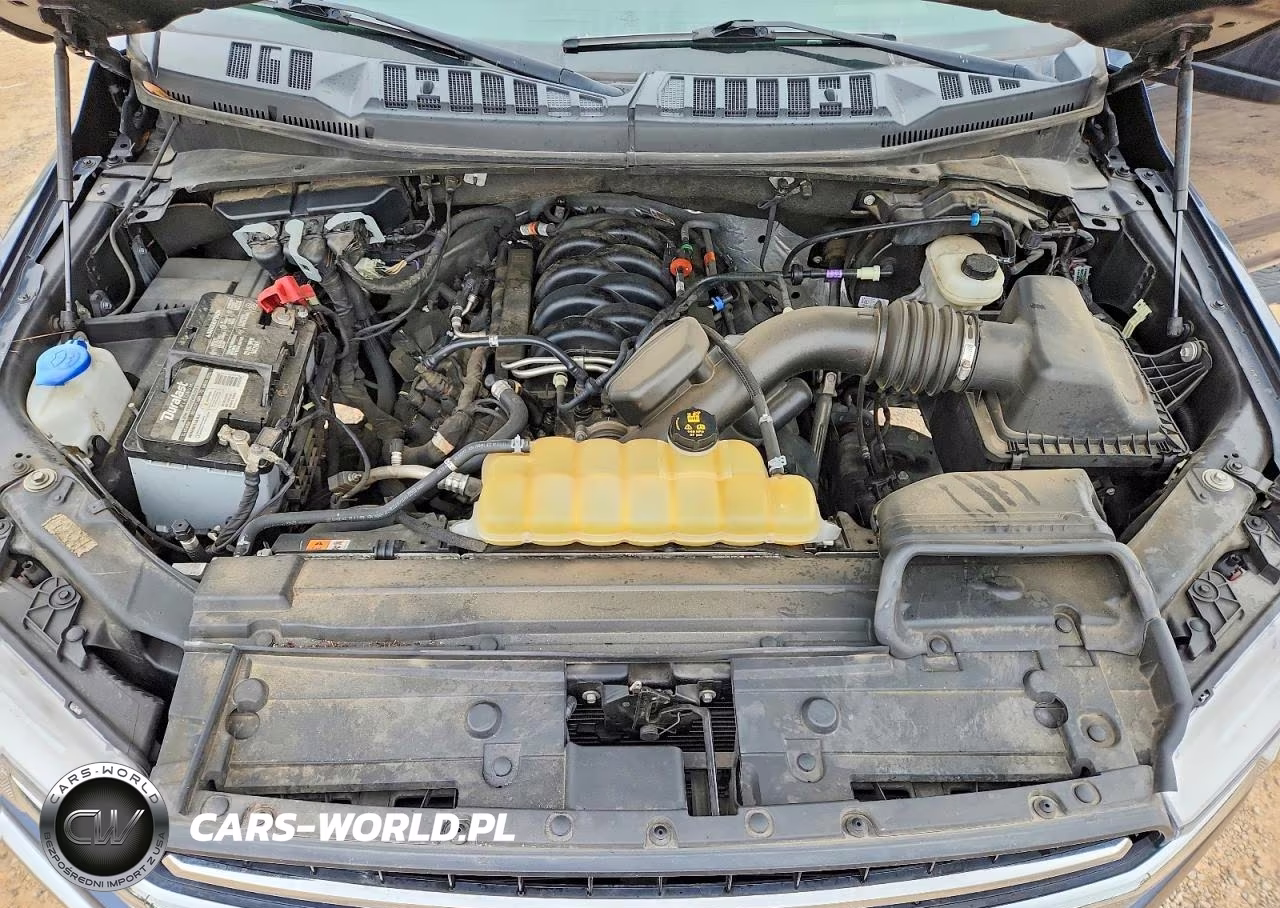 2020 Ford F150 Supercrew VIN:1FTEW1E57LFA22979 - 11