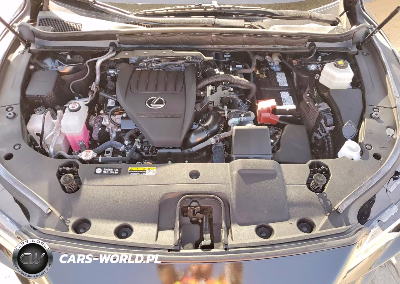 2023 Lexus Rx 350 Premium VIN:2T2BAMBA0PC007187 - 12