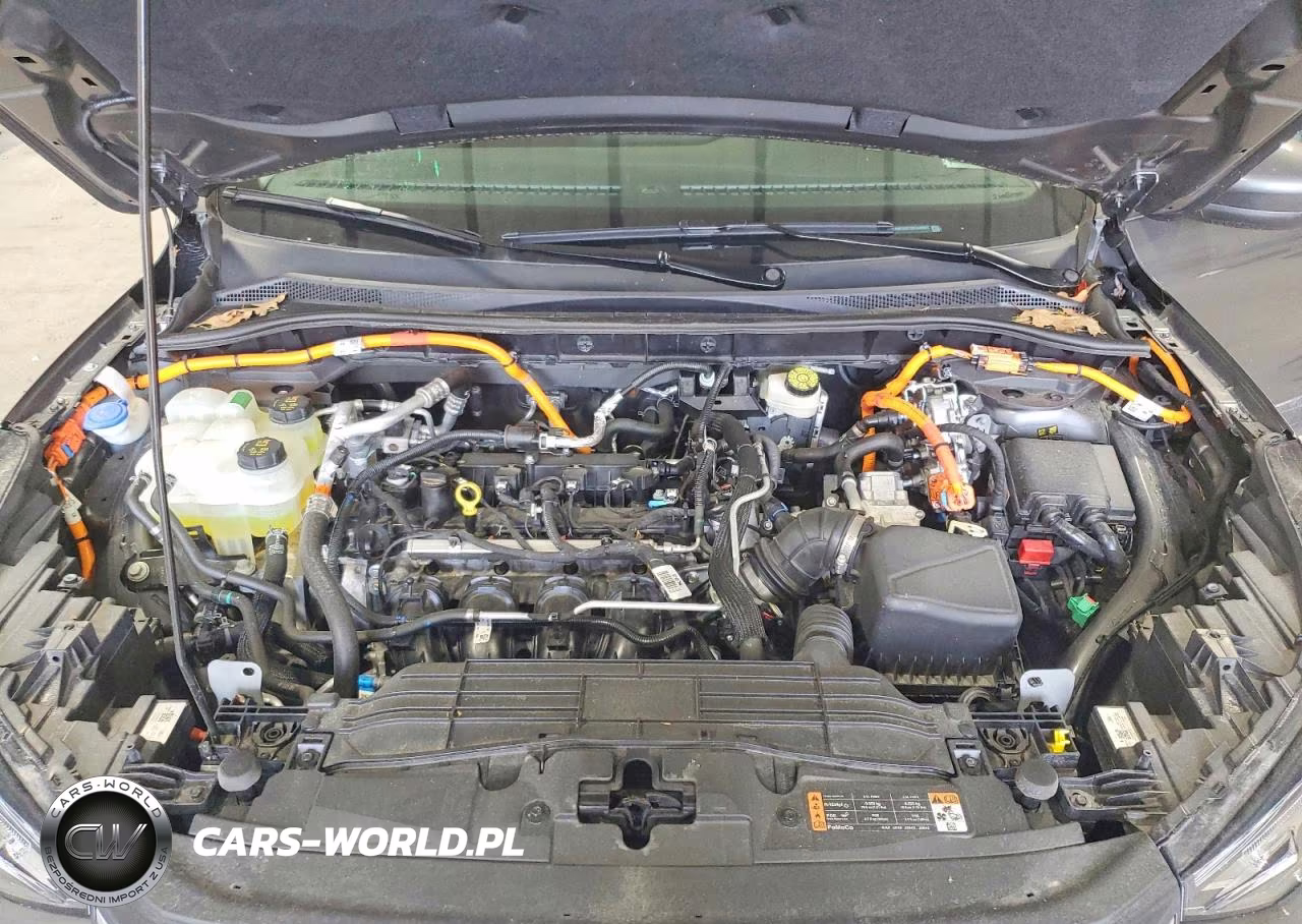 2025 Ford Escape VIN:1FMCU0E13SUA46061 - 11