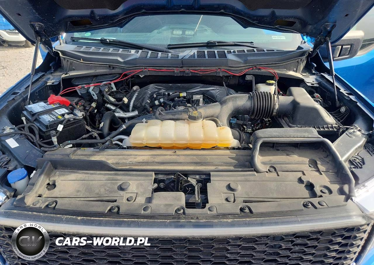 2021 Ford F150 Supercrew VIN:1FTEW1EP1MFA68522 - 11