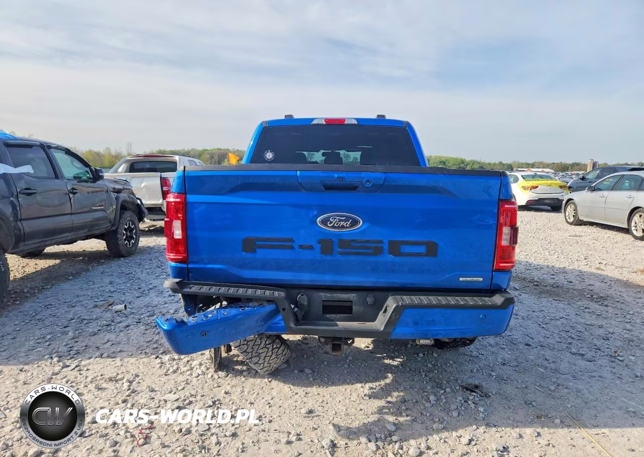 2021 Ford F150 Supercrew VIN:1FTEW1EP1MFA68522 - 6