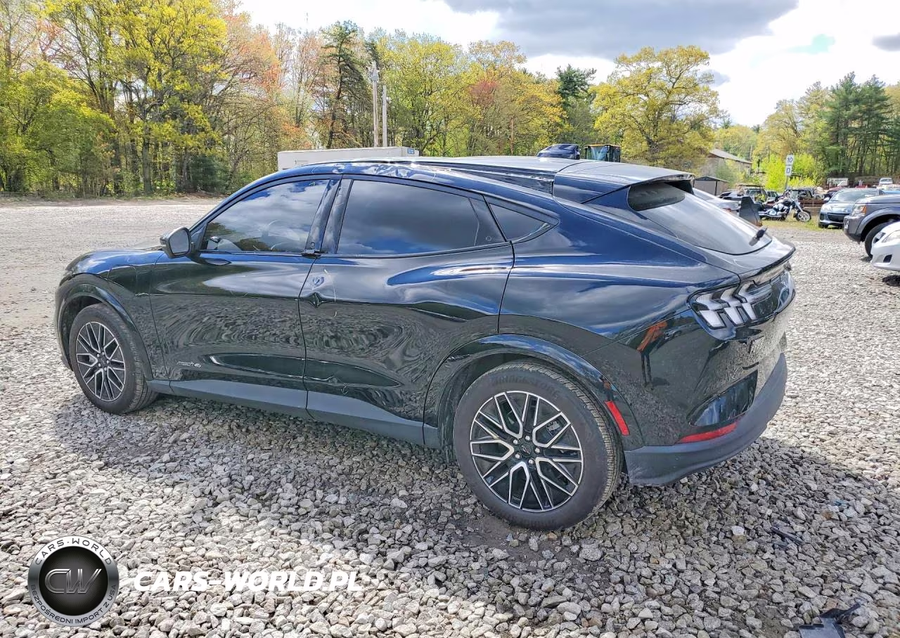 2025 Ford Mustang Mach-E Premium VIN:3FMTK3SU1SMA21945 - 2