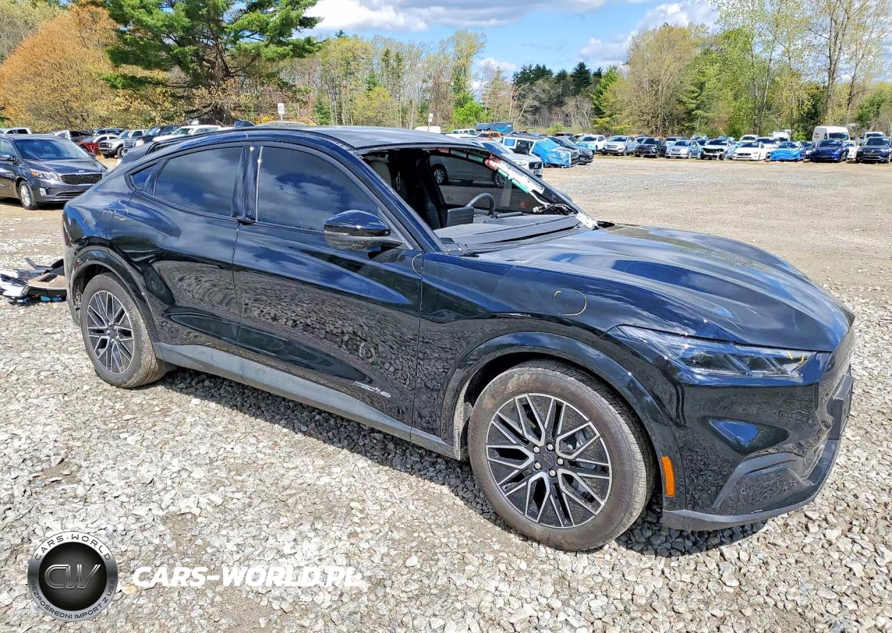 2025 Ford Mustang Mach-E Premium VIN:3FMTK3SU1SMA21945 - 4
