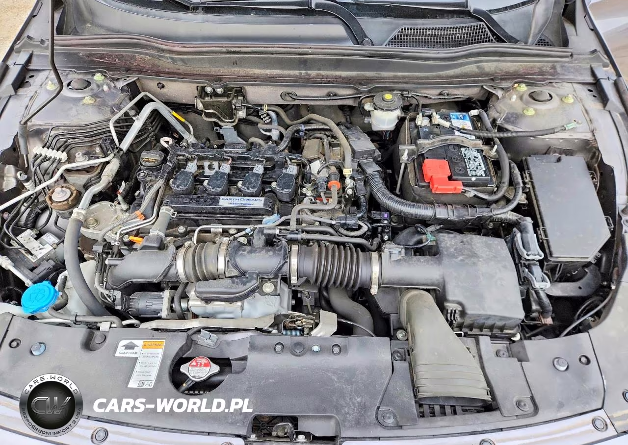 2019 Honda Accord Lx VIN:1HGCV1F1XKA025832 - 11