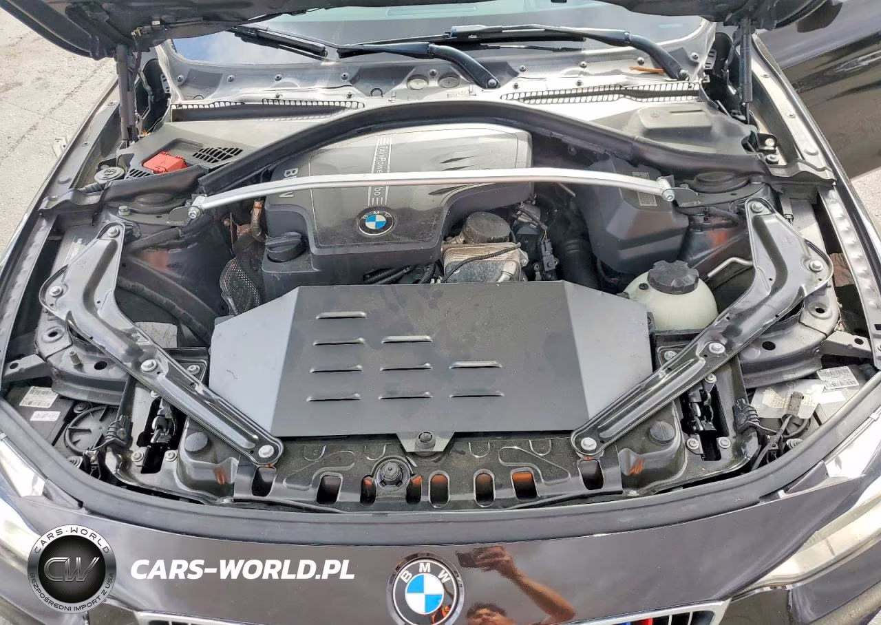 2015 BMW 428 I Sulev VIN:WBA3V7C53FP771659 - 11