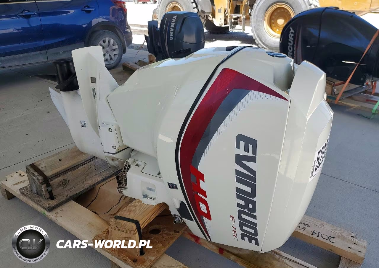 2014 Evinrude Boatmotor