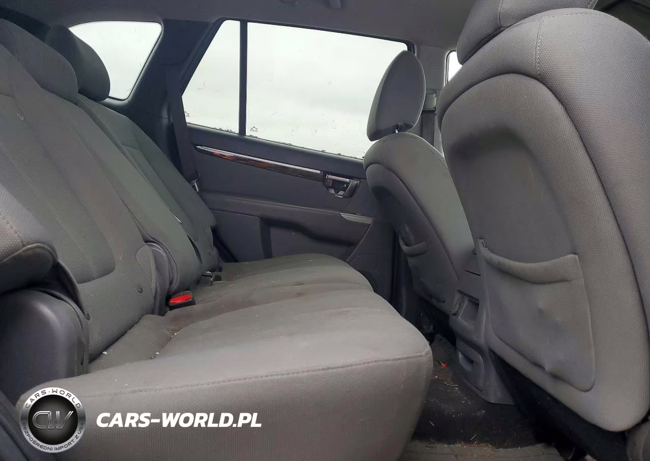 2010 Hyundai Santa Fe Gls VIN:5NMSG3AB8AH345445 - 11