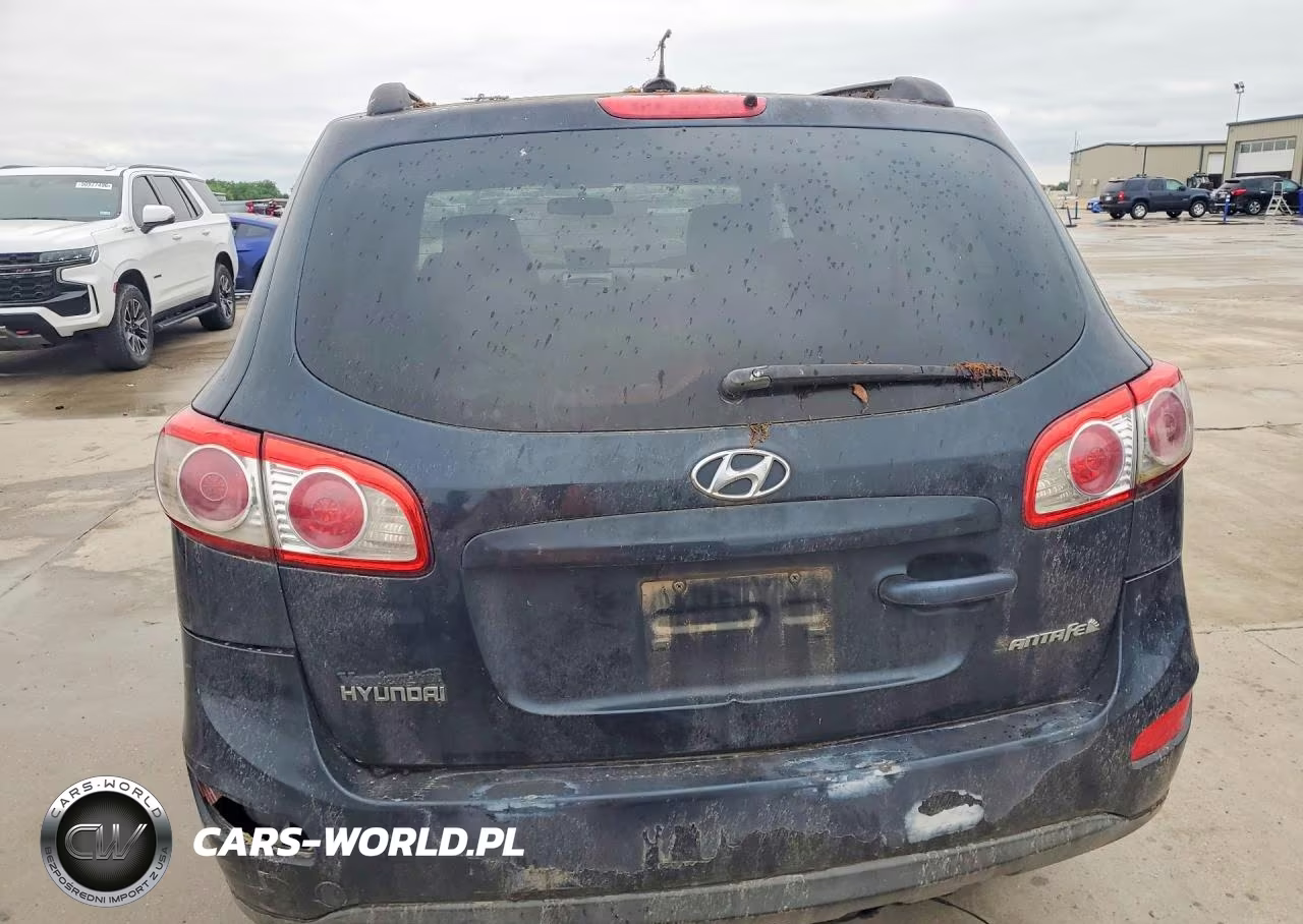 2010 Hyundai Santa Fe Gls VIN:5NMSG3AB8AH345445 - 6