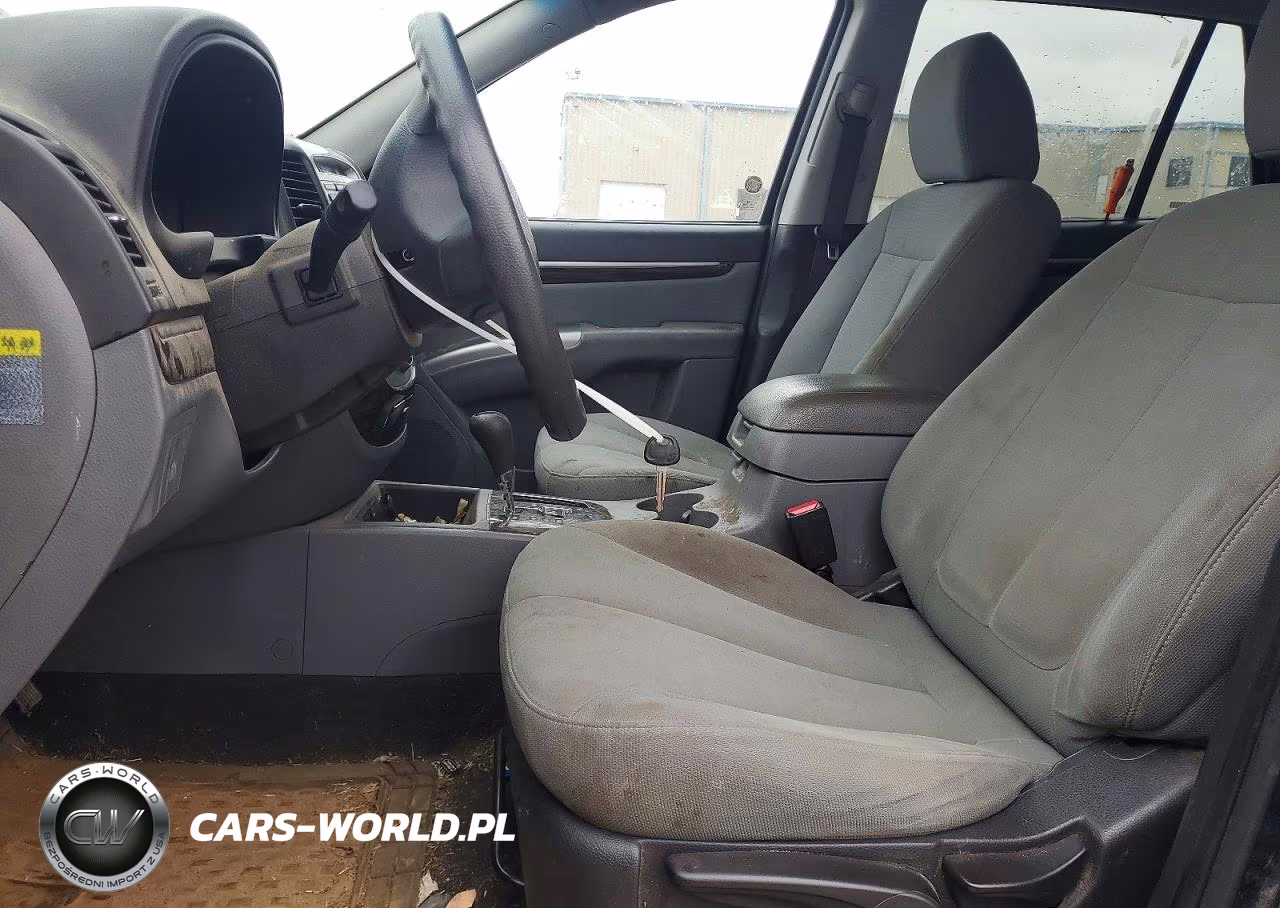 2010 Hyundai Santa Fe Gls VIN:5NMSG3AB8AH345445 - 7