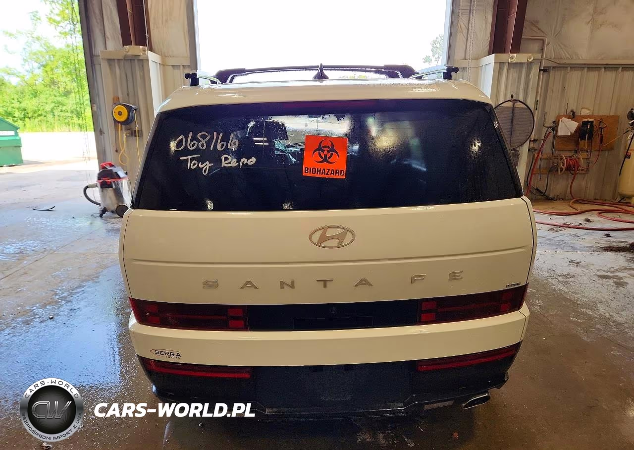 2025 Hyundai Santa Fe Sel VIN:5NMP2DGL5SH068166 - 6