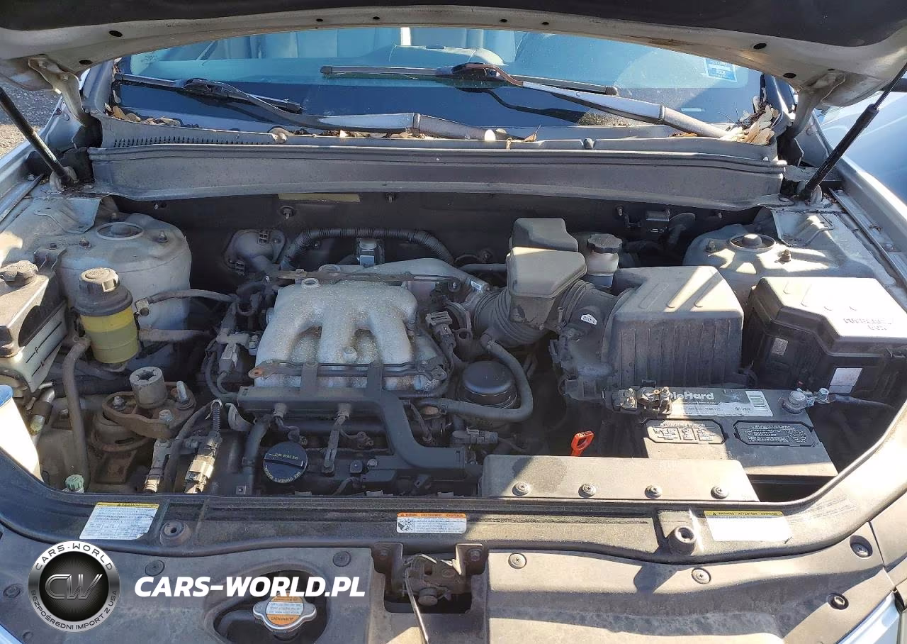 2007 Hyundai Santa Fe Se VIN:5NMSH13E47H104113 - 11